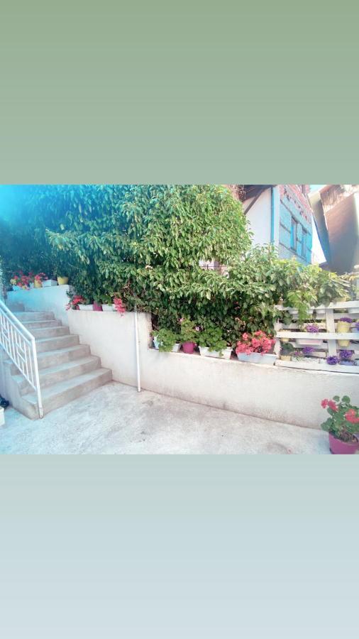 Galeb Apartment Ohrid Exterior photo